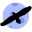 hawk-tracker-ru.pages.dev favicon